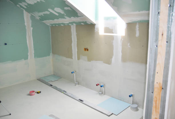 Best Biohazard Mold Removal  in USA